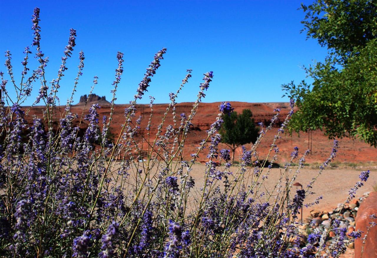 Hat Rock Inn Mexican Hat Екстериор снимка
